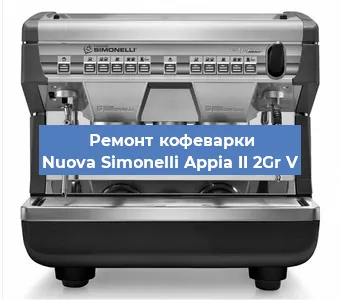 Замена фильтра на кофемашине Nuova Simonelli Appia II 2Gr V в Волгограде
